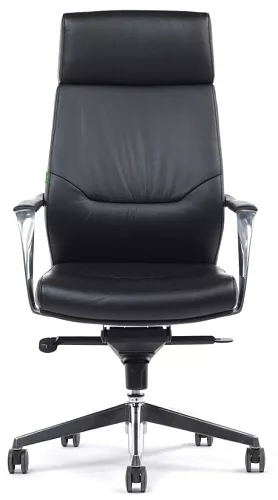 фото кресло RV-A1815 №2