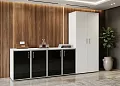кабинет Оникс Люкс Белый