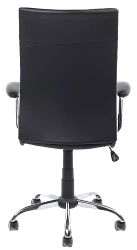 фото кресло RV-8234 №5