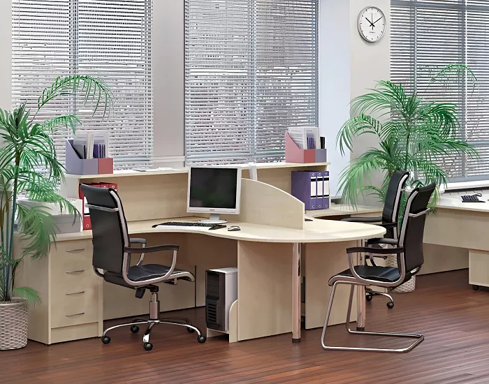 фото мебель Riva Клен					 №2					