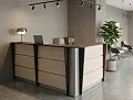 ресепшн Рапид Дуб