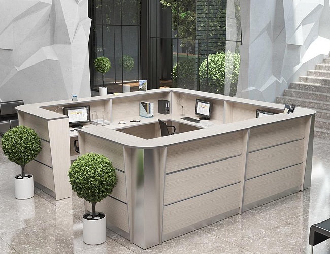 фото ресепшн Rapid White